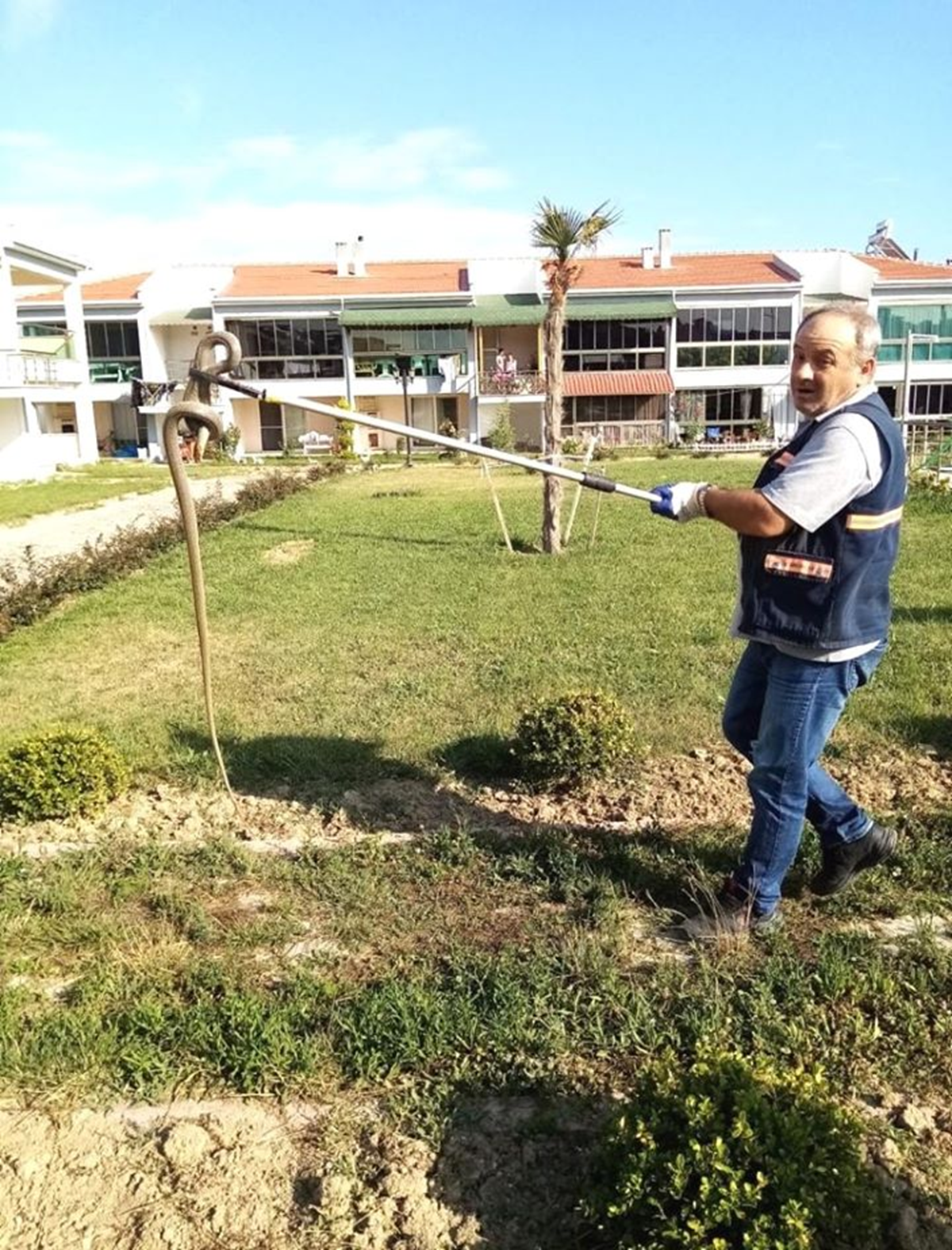 Edirne'de girdi�i s�s havuzundan ��kar�lan y�lan, do�aya b�rak�ld�
