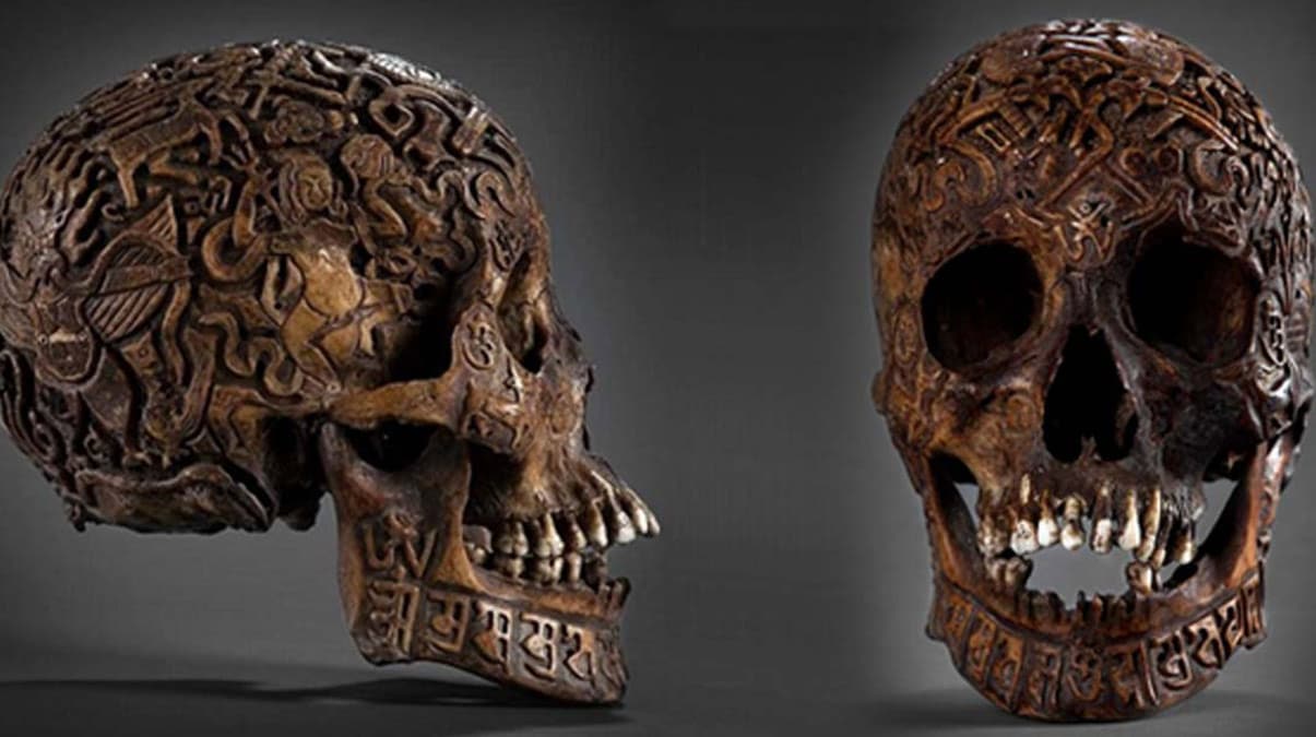 ��lemeli kafatas� fiyat� 20 bin dolar