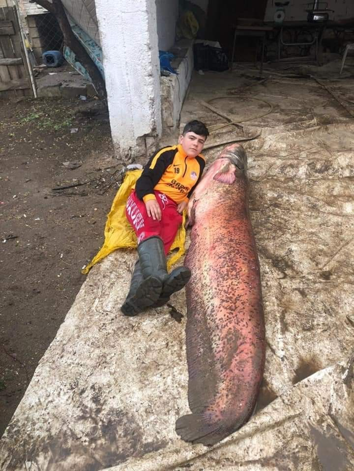 2 buuk metre boyunda, 110 kilo: Grenleri oke etti
