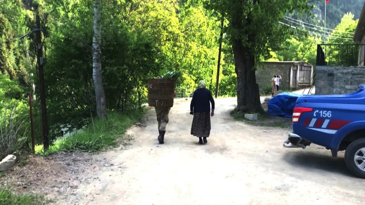 Jandarma, yal kadnn srtndaki ot dolu sepeti alarak evine kadar tad 