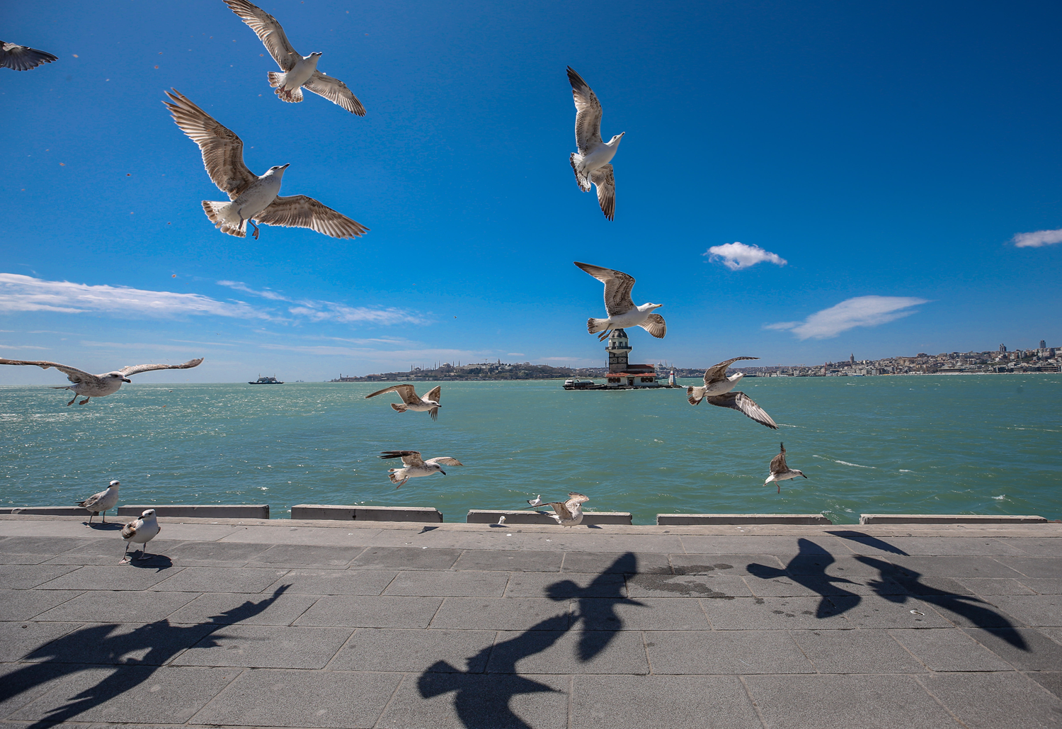 Marmara B�lgesi'nde s�cakl�klar�n artmas� bekleniyor