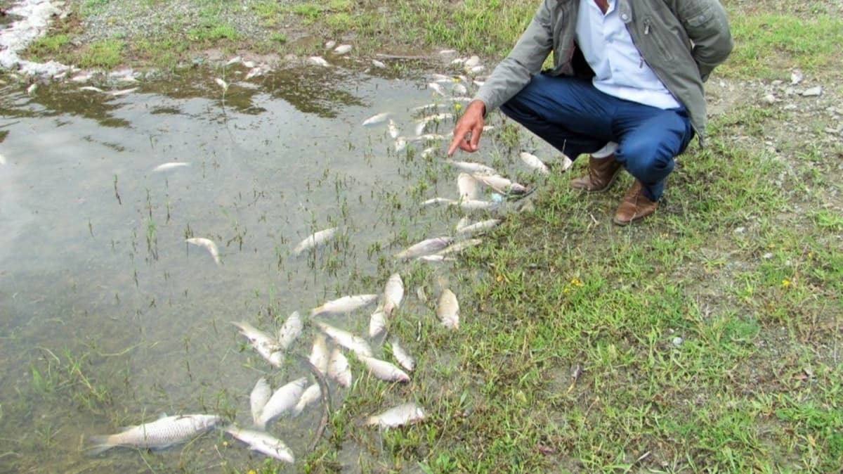 Sulama gletinde korkutan grnt