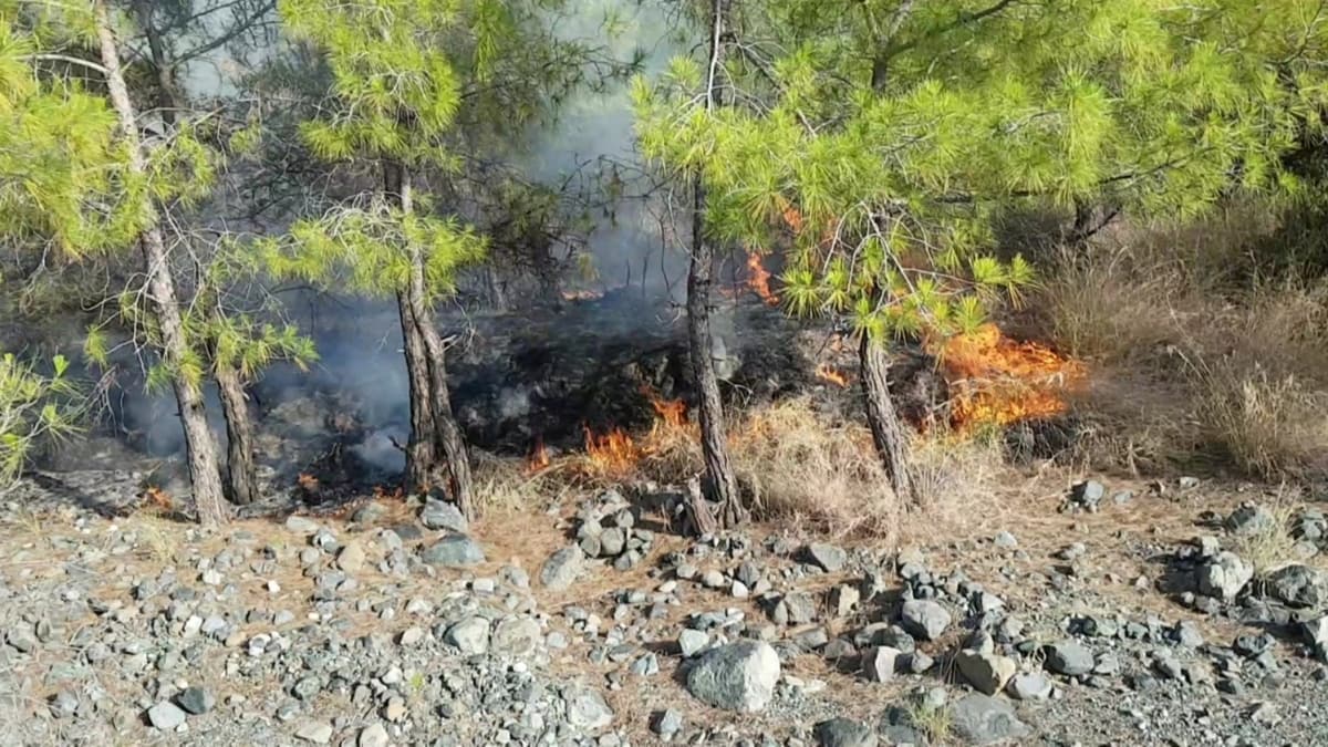 Hatay'daki orman yangnnda 2 hektar alanda zarar olutu 