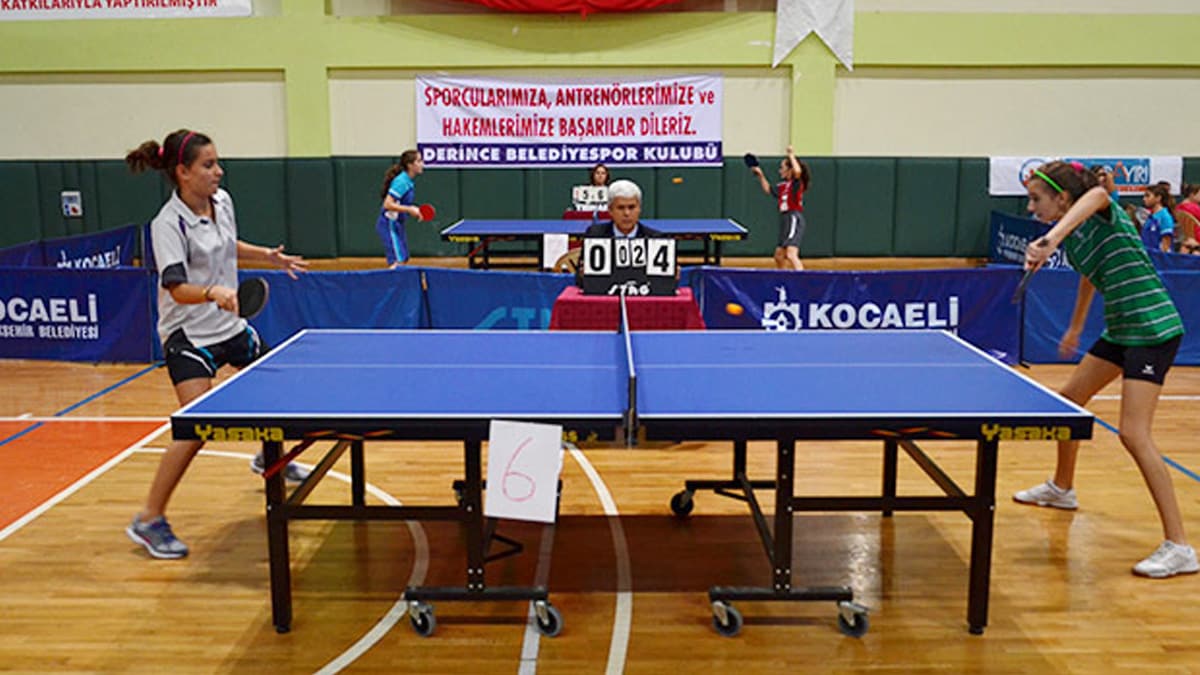 T�rkiye Masa Tenisi Federasyonu, ligleri tescil etti