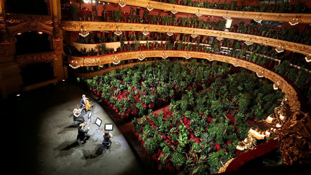 Karantinadan sonra kaplarn aan Barcelona operas ilk konserini bitkilere verdi