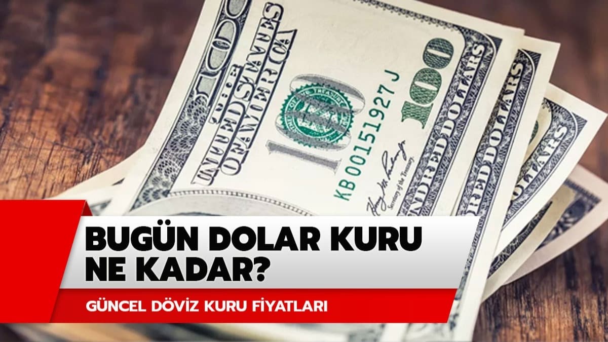 Dolar ka TL? 24 Haziran 2020 dolar kuru ve euro fiyat