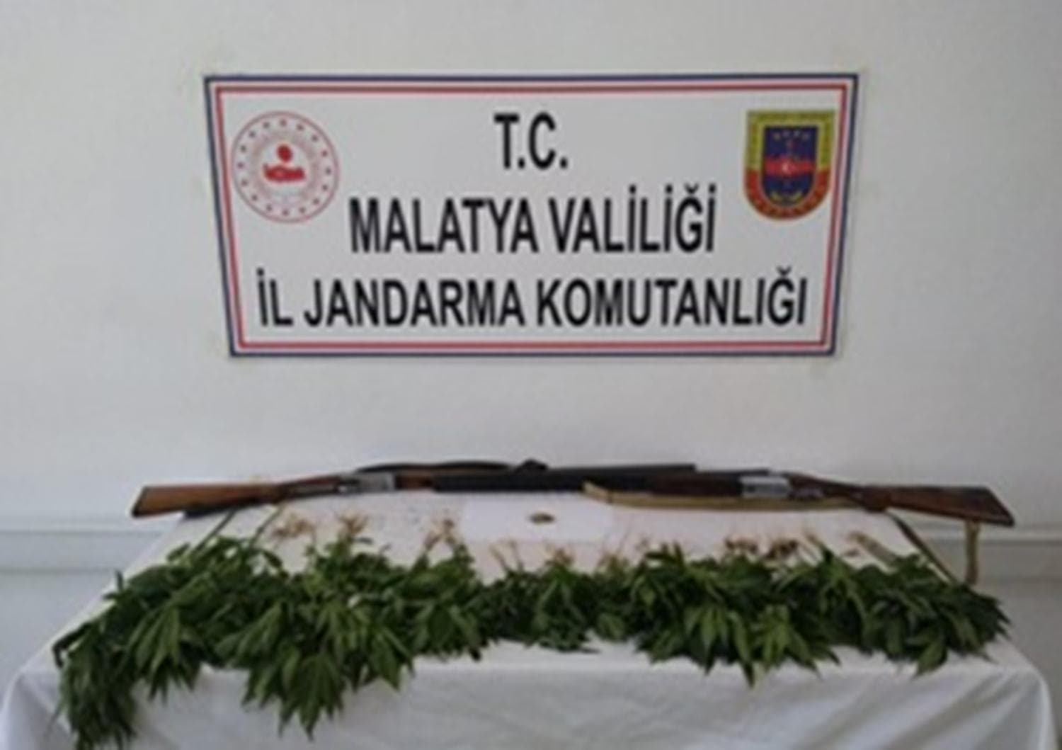 Malatya'da 327 k�k kenevir ele ge�irildi, 2 ki�i g�zalt�na al�nd�