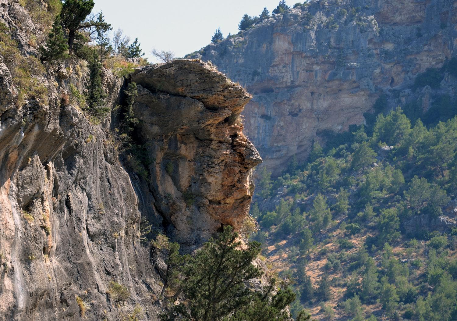 Dev kayaya yo�un ilgi! G�r�nt�s�yle Trump'� and�r�yor