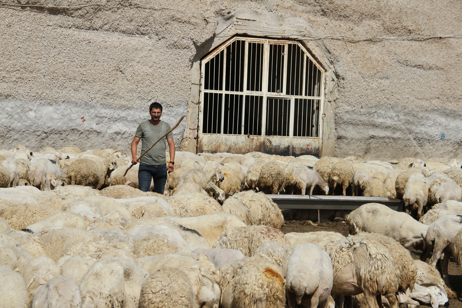 Hobi olarak balamt! rnek oldu