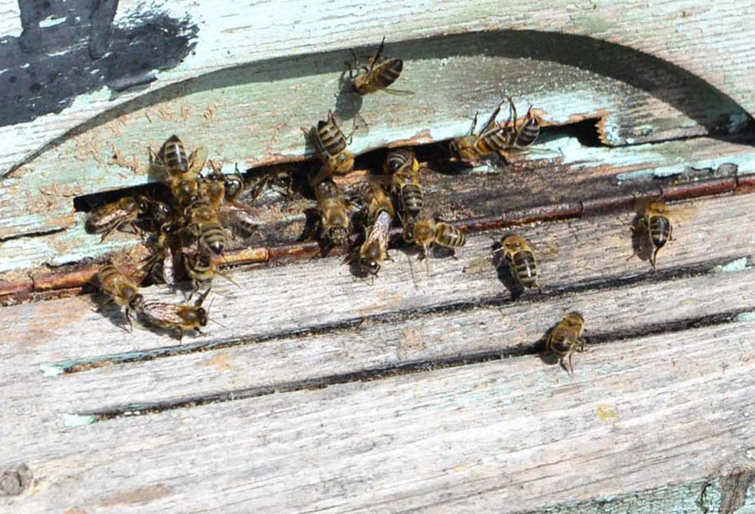 Ar� sokmalar�nda bu uygulamalara dikkat