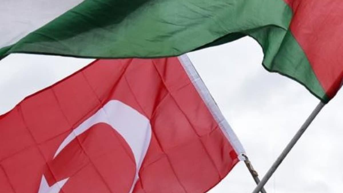 Trkiye'den Filistin'e nakdi destek hibesi, Resmi Gazete'de