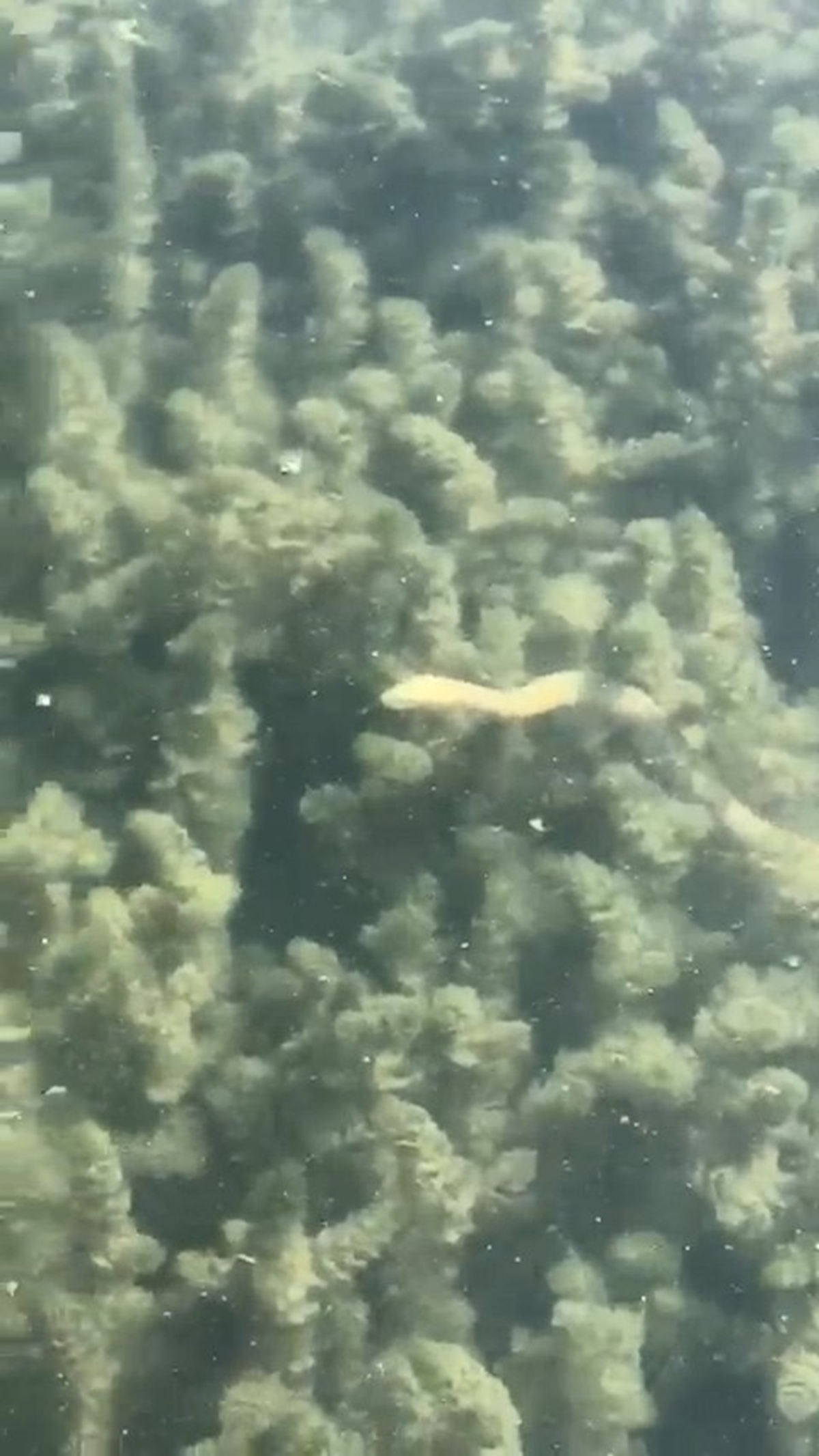 znik'te tedirgin eden grnt! 99 depremi ncesinde de ayn manzarayla karlald iddia edildi!