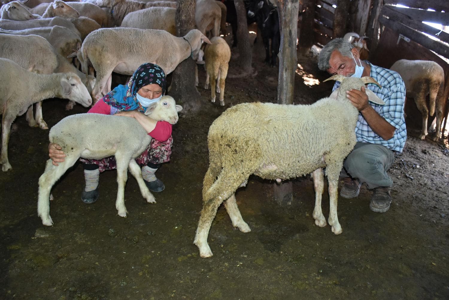 Hayvanlar telef olmutu... Yzlerini Bakan Erdoan gldrd