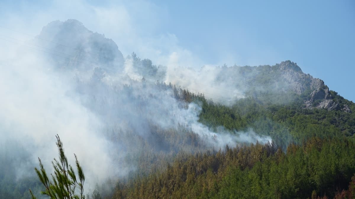 Antalya'da kan yangnda 3 hektar orman alan zarar grd 