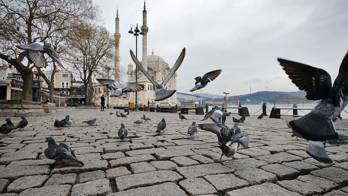 Soka�a ��kma yasa�� ne zaman bitecek? Bug�n soka�a ��kma yasa�� ka�a kadar? ��i�leri Bakanl��� soka�a ��kma yasa�� saatleri