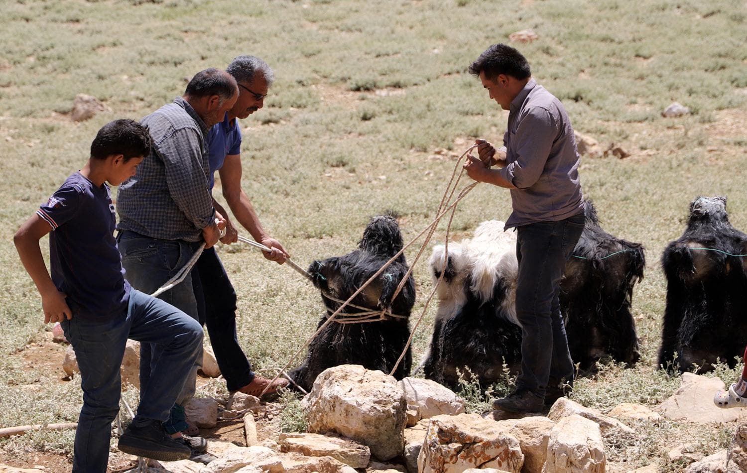4 ay kuyuda bekletiyorlar: Kilosu 90 TL