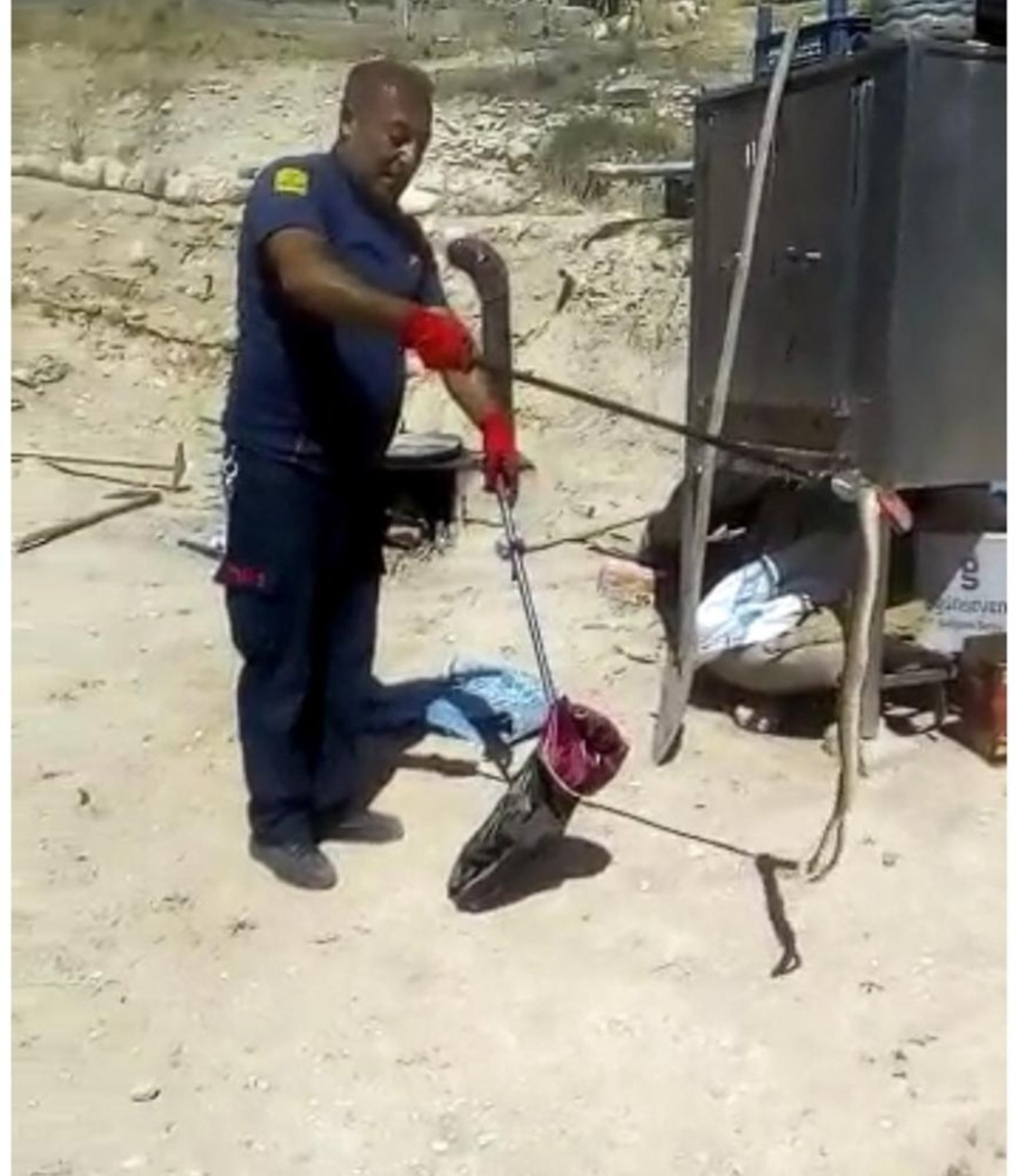 Mahallede y�lan pani�i!