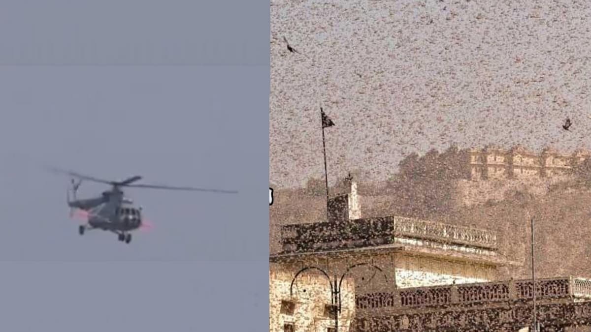 Hindistan'da ekirgelerle mcadele, Mi17 helikopterleriyle yaplyor