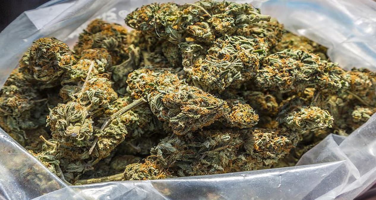 'Esrar'� yemek yap�p yediler, t�m aile hastanelik oldu