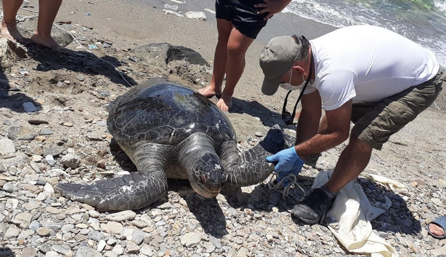 B�ylesi ilk kez g�r�ld�!