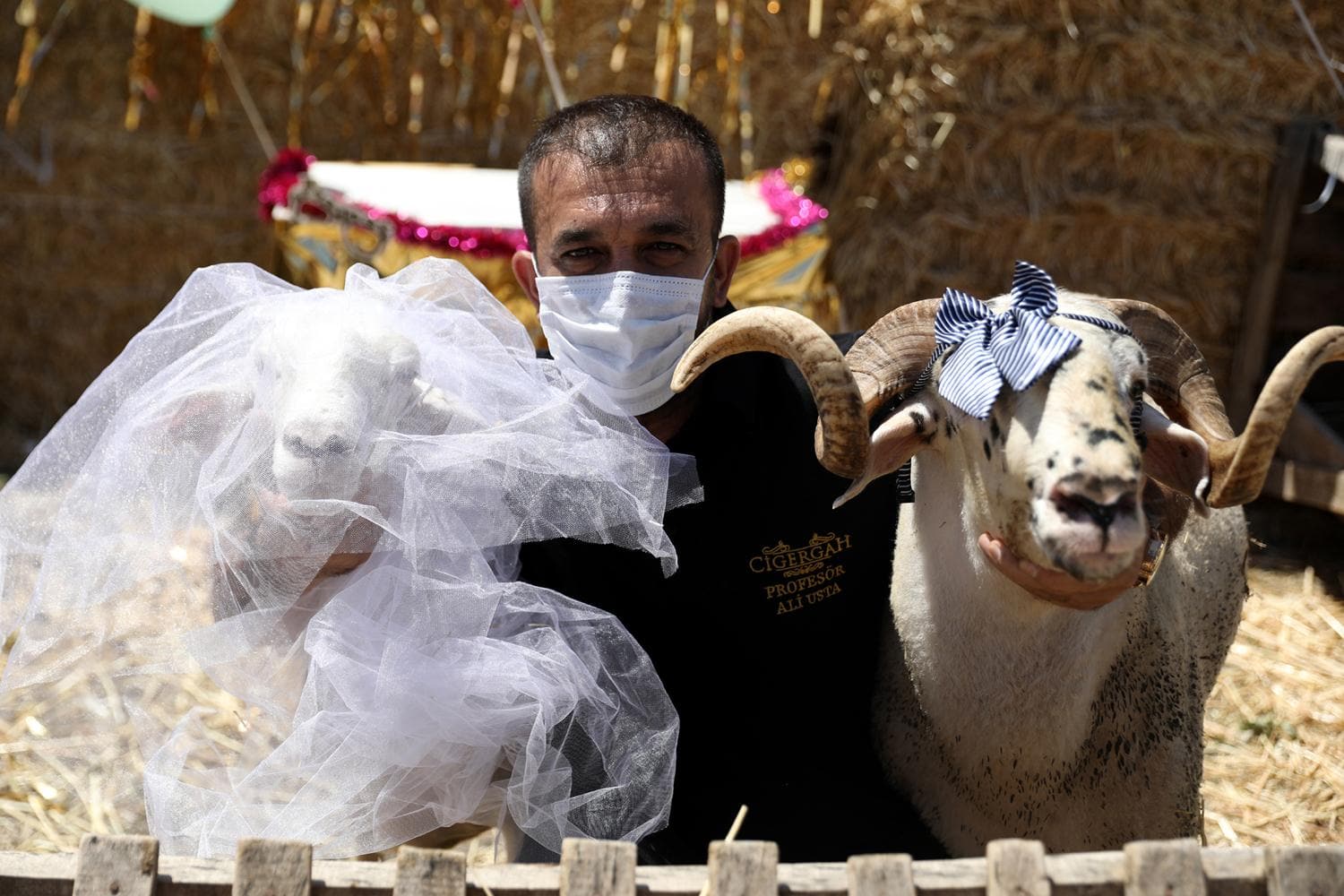 Kuzu Sultan'a davullu zurnal� d���n