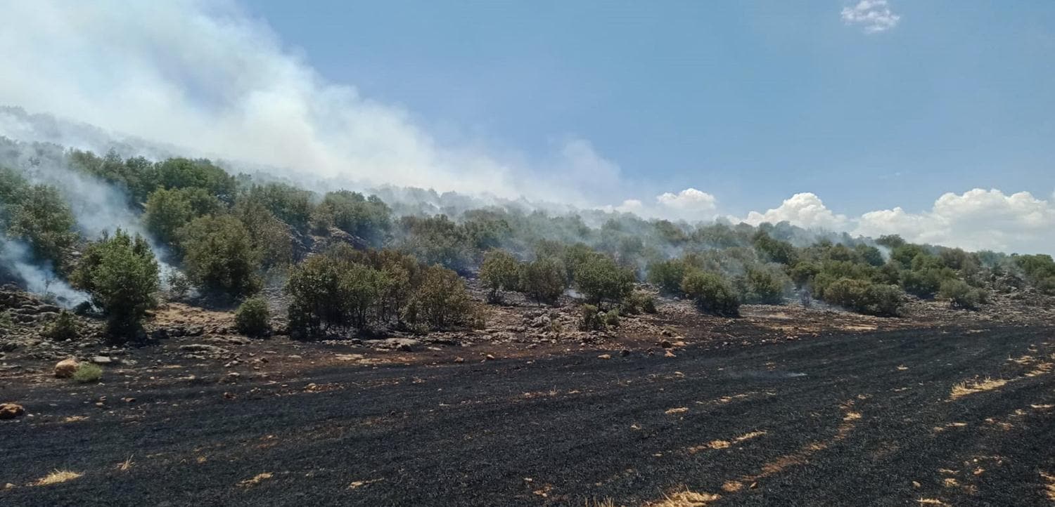 Hatay'da ��kan yang�n�nda 2 hektar ormanl�k alan zarar g�rd�