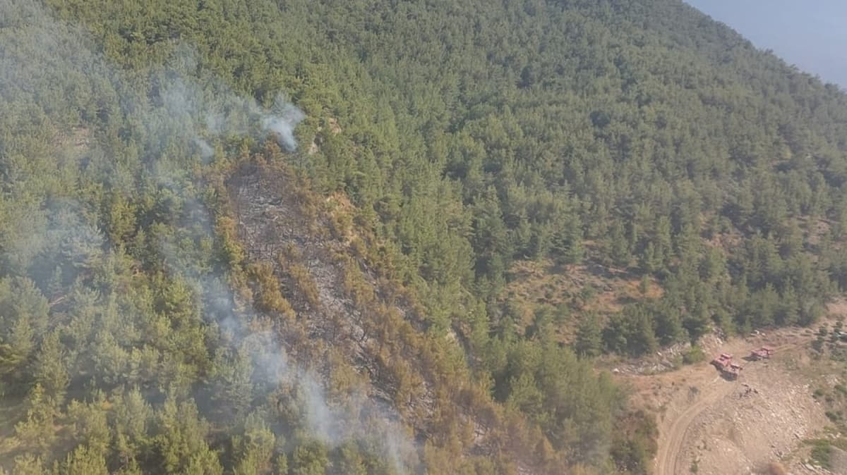 Hatay'da korkutan yangn kontrol altna alnd 