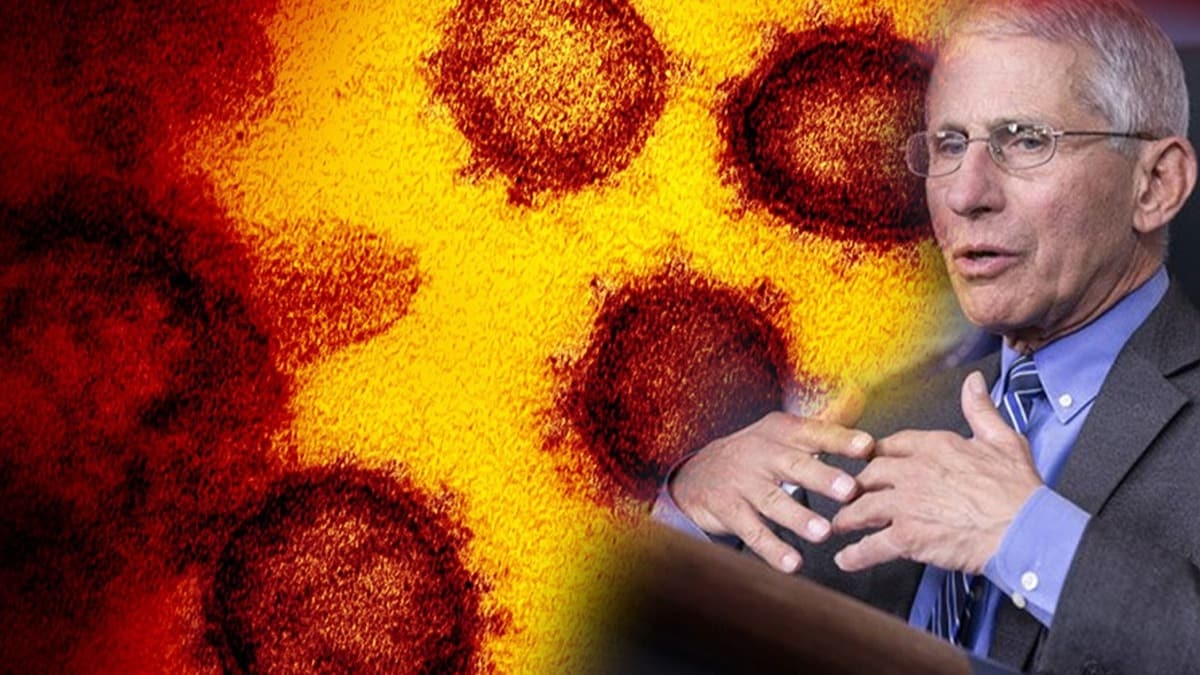 ABD'li uzman Dr. Fauci: Kovid-19'un yeni mutasyonu hastaln bulacln artrabilir