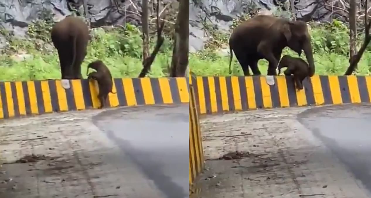 Bizim hayat�m�z� kolayla�t�ran, onlar�n hayat�n� zorla�t�r�yor! Neyse ki annesi yeti�ti