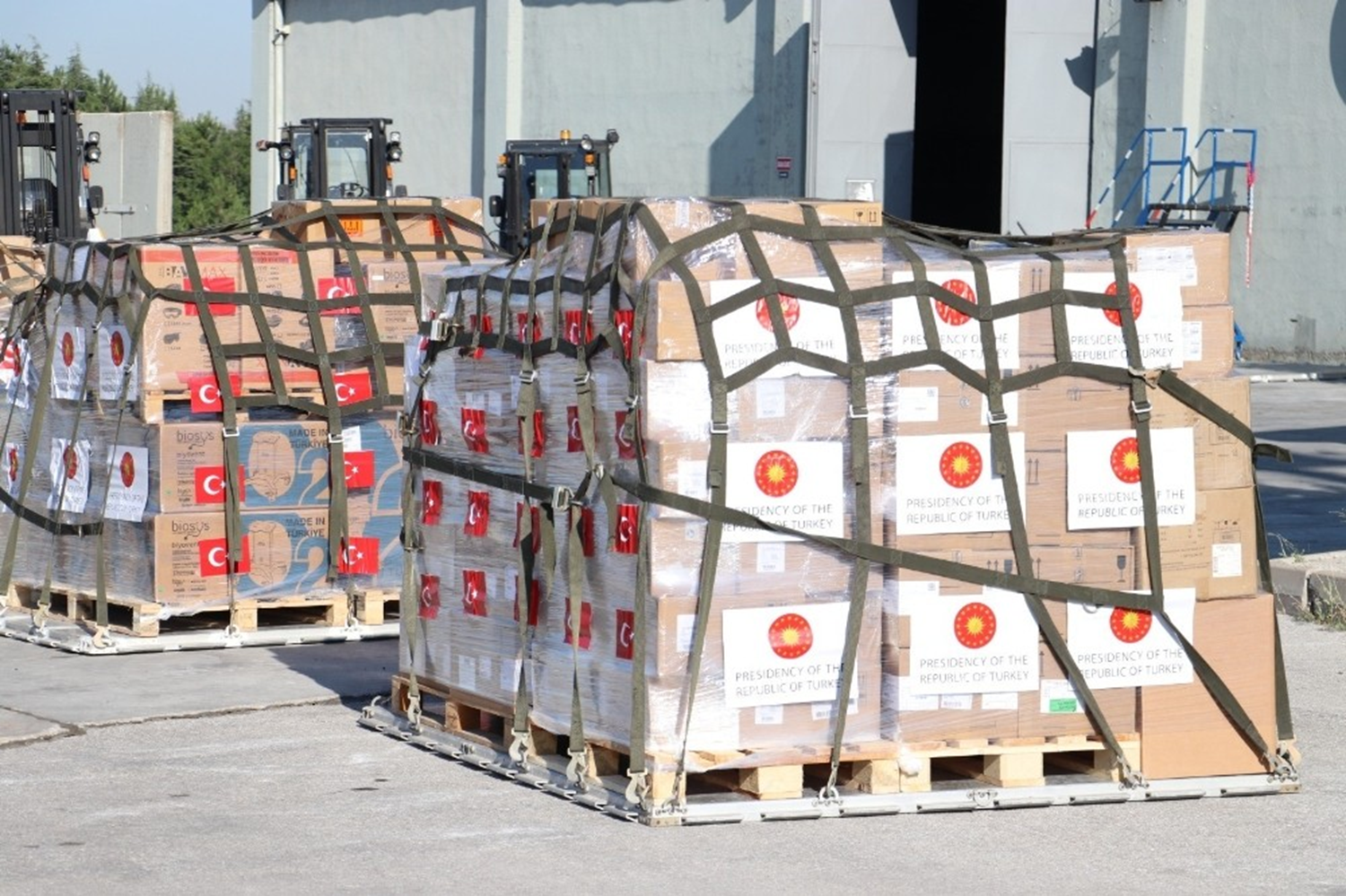 T�rkiye'nin yard�mlar� S�rbistan'da... D��i�leri Bakan Yard�mc�s� K�ran: Koronavir�sle m�cadele eden soyda�lar�m�z�n da yan�nday�z