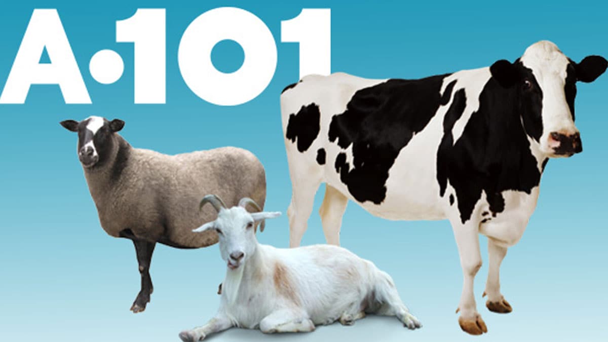 A101 kurbanl�k 2020 fiyatlar� a��kland�