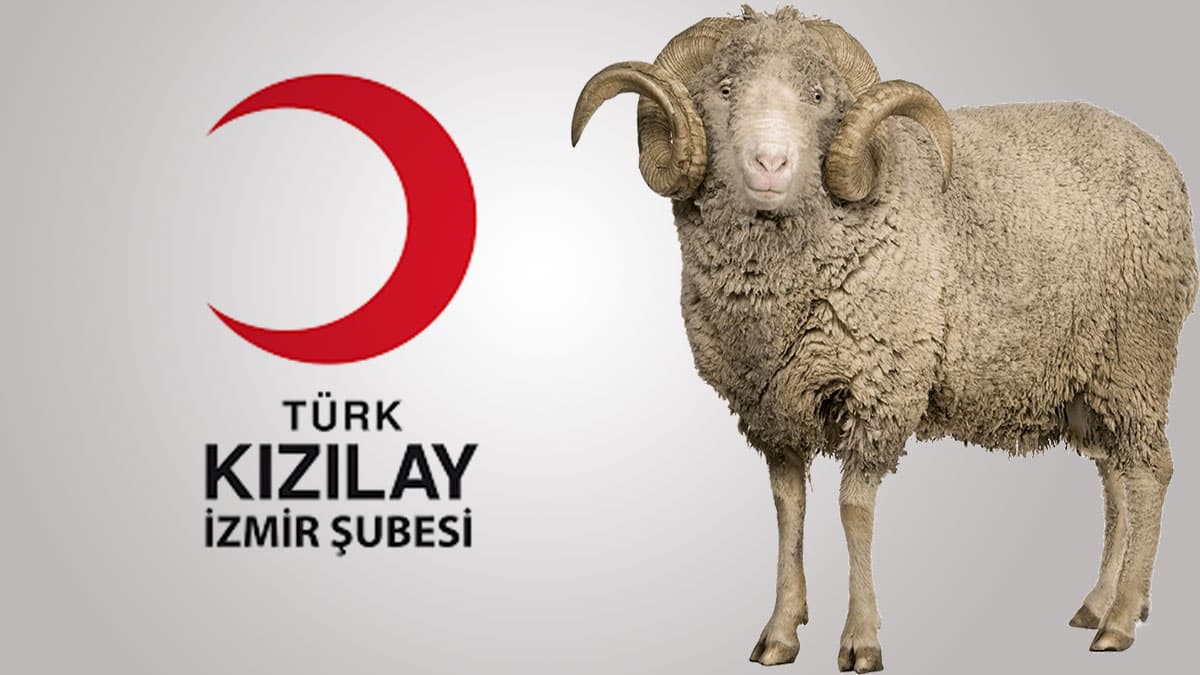 K�z�lay 2020 kurbanl�k fiyatlar� ne kadar?