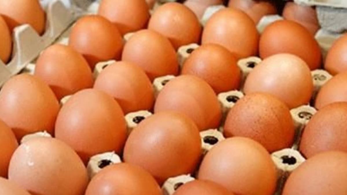 Fiyatlar ykseldi: ran yumurta ihracatn durdurdu