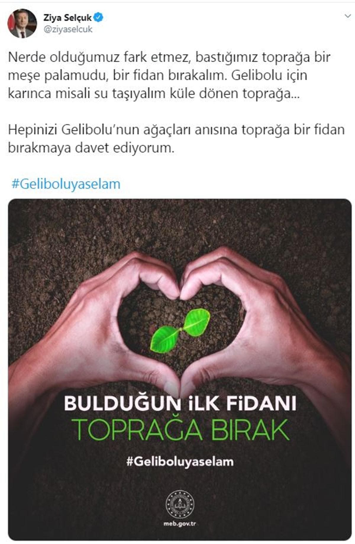 Bakan Sel�uk'tan fidan �a�r�s�:  Gelibolu i�in kar�nca misali su ta��yal�m k�le d�nen topra�a