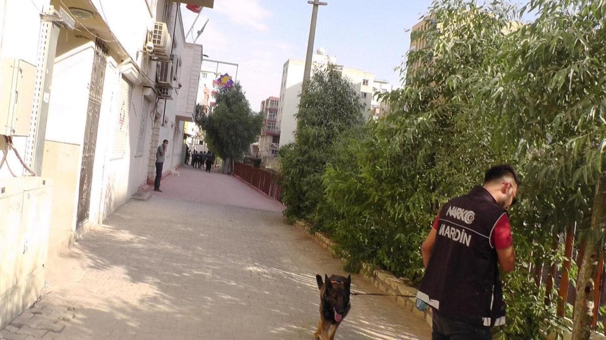 Mardin'de narkotik kpeiyle uyuturucu operasyonu  