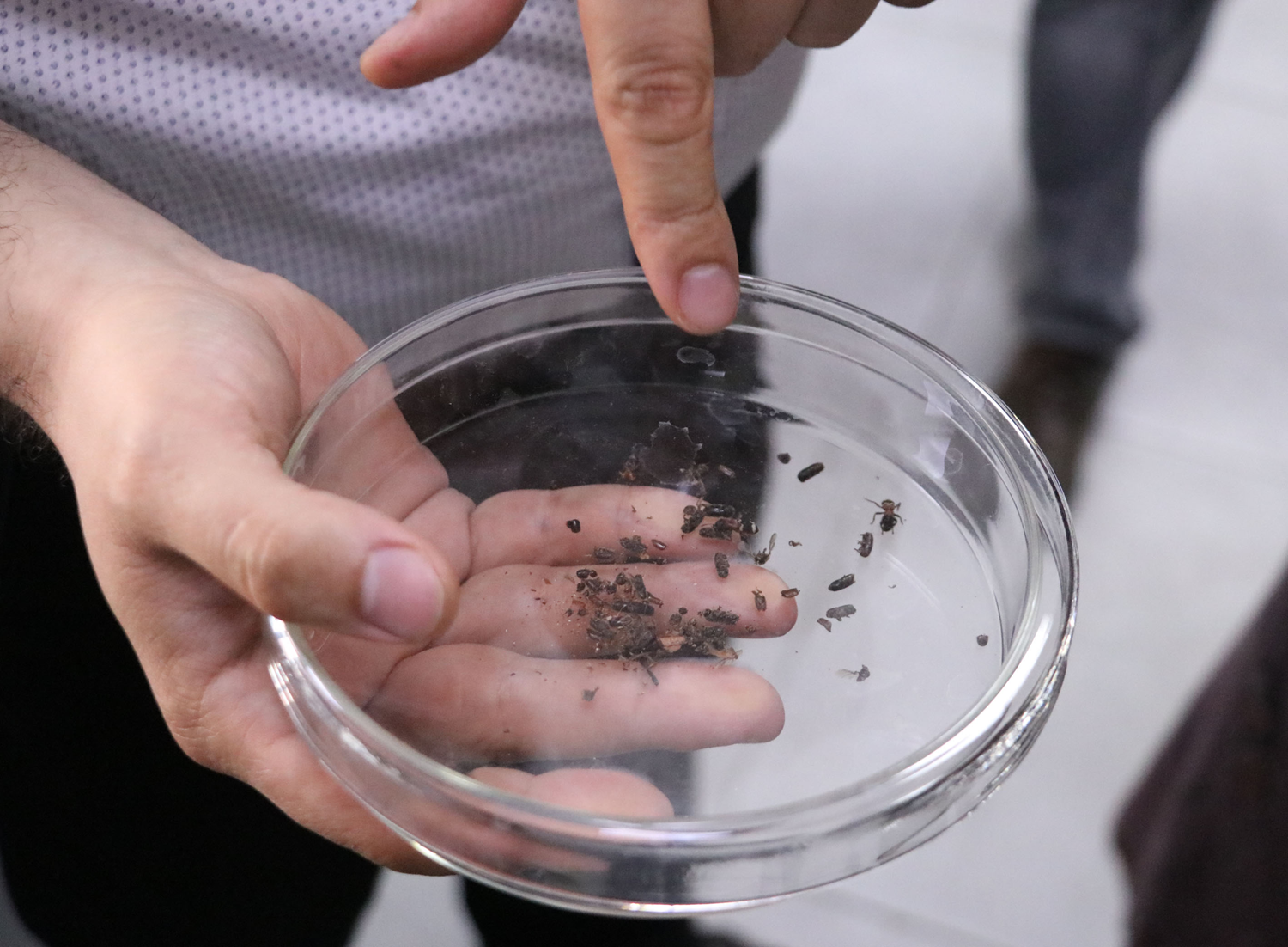 Ormanlar onlara emanet!