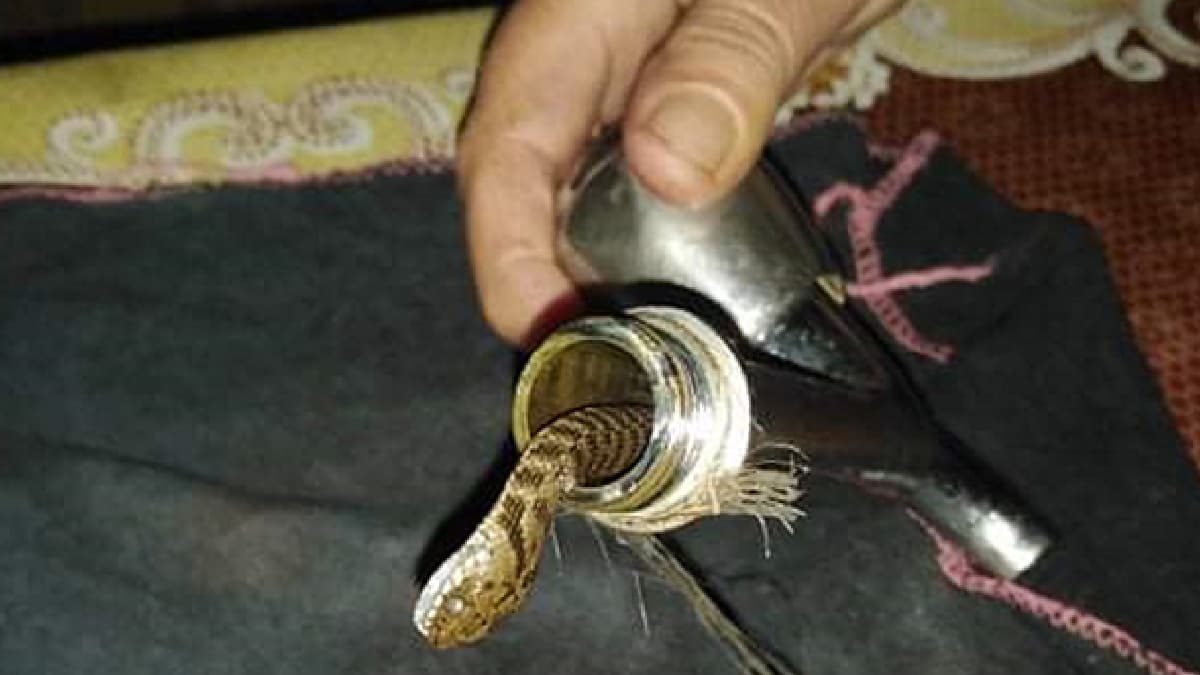 Suda farkl� bir koku fark edince tesisat�� �a��rd�! Musluktan ��kan� g�r�nce g�zlerine inanamad�