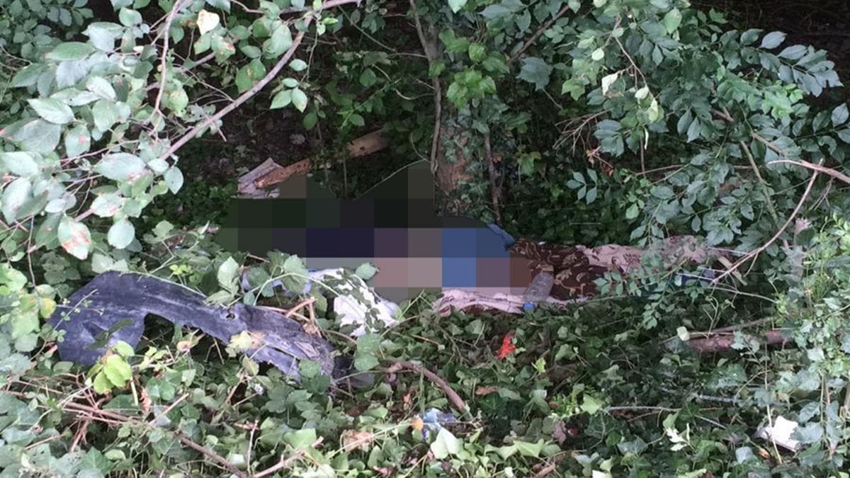 Anadolu Otoyolu'nda erkek cesedi bulundu 