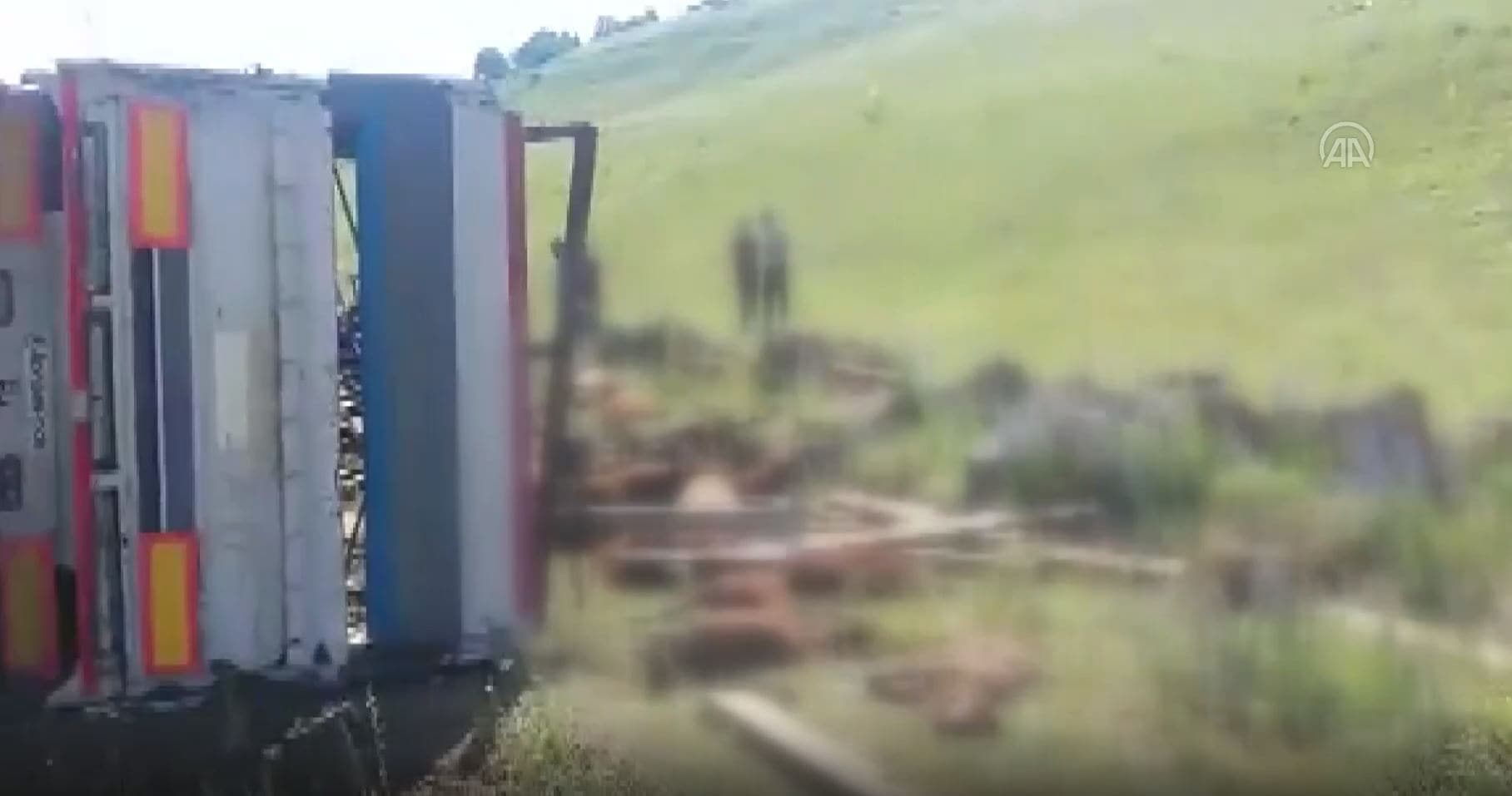 Feci kaza: Kurbanl�k ta��yan t�r devrildi, 32 koyun telef oldu