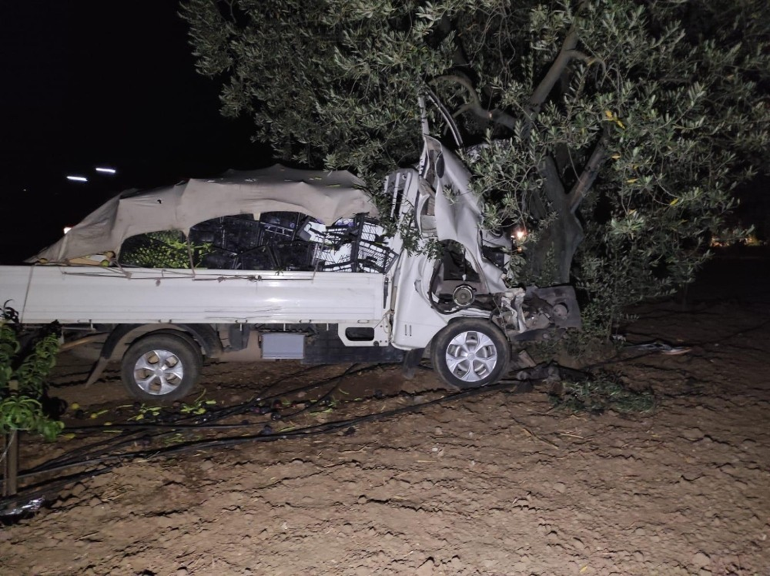 Sollamak isterken, traktr paralad