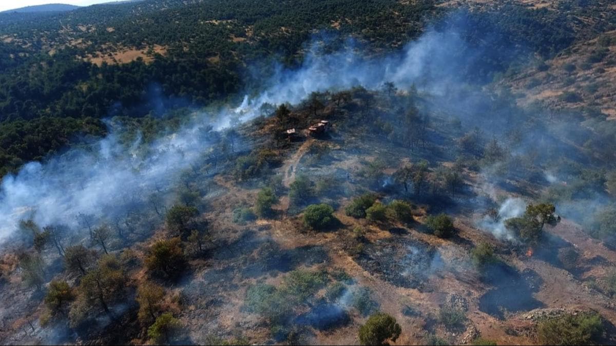 Gaziantep'deki orman yangn sonucu 3 hektar alan zarar grd