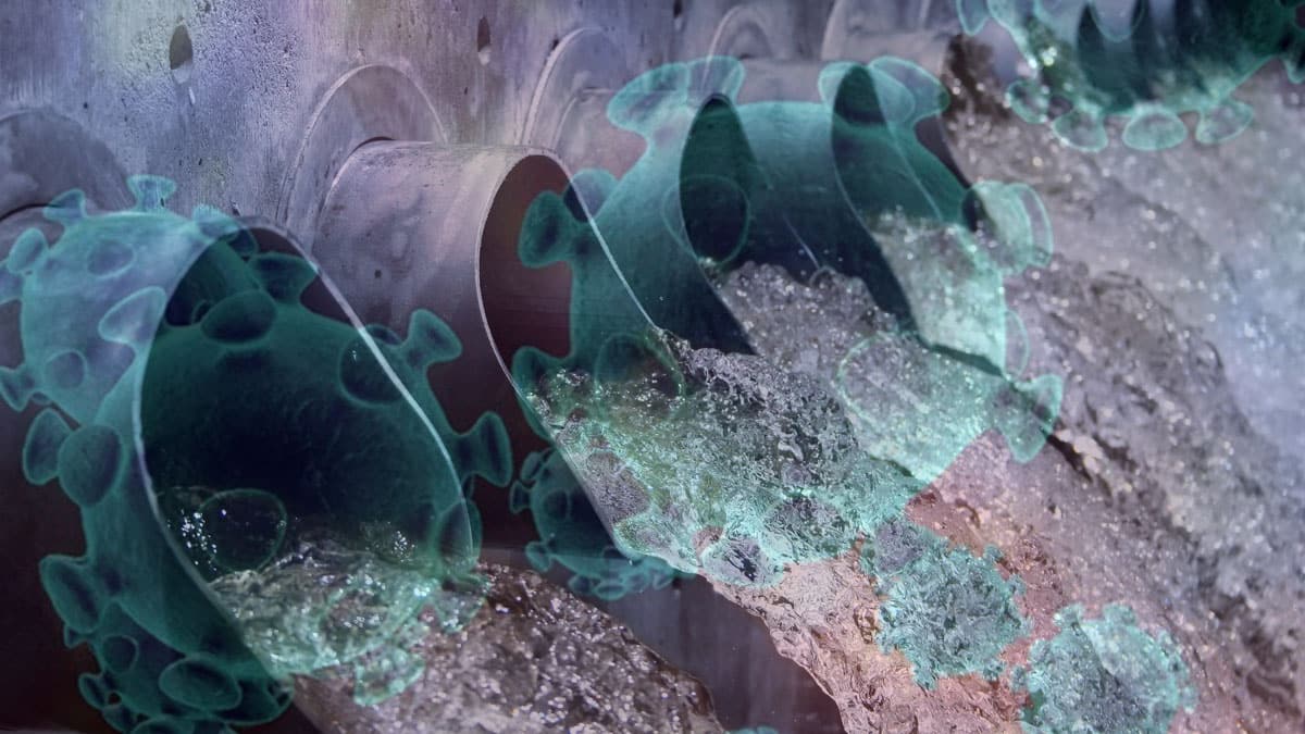 L�ksemburg'da at�k sularda vir�se rastland�