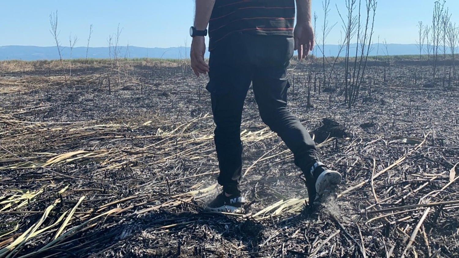 znik'te sazlk yangnnda 60 dnmlk alan kl oldu