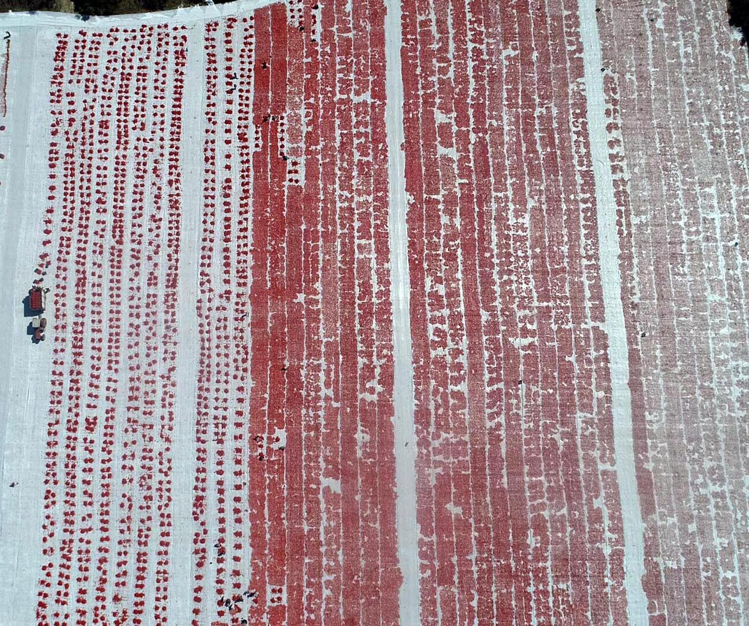 Torbal� Ovas�'nda �retiliyor, d�nyaya ihra� ediliyor