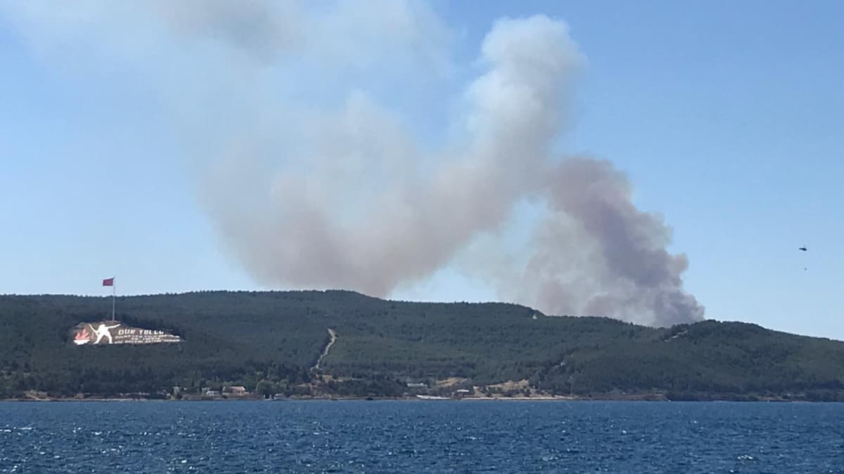 'T�m yang�nlar kontrol alt�nda'