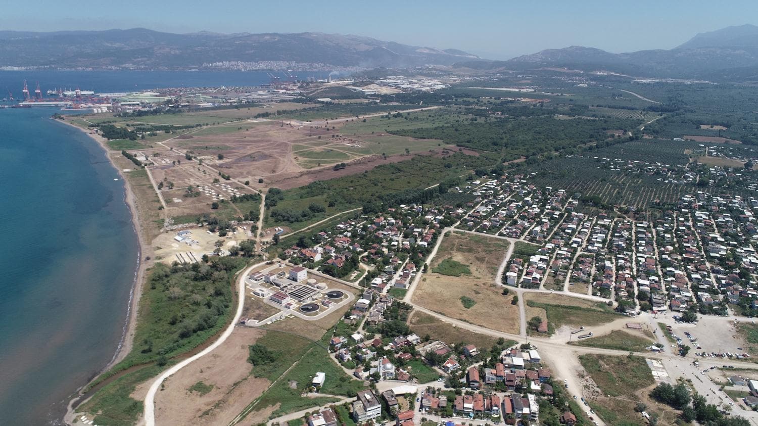 Ba�lar�na talih ku�u kondu: Fiyatlar 10 kat�na ��kt�