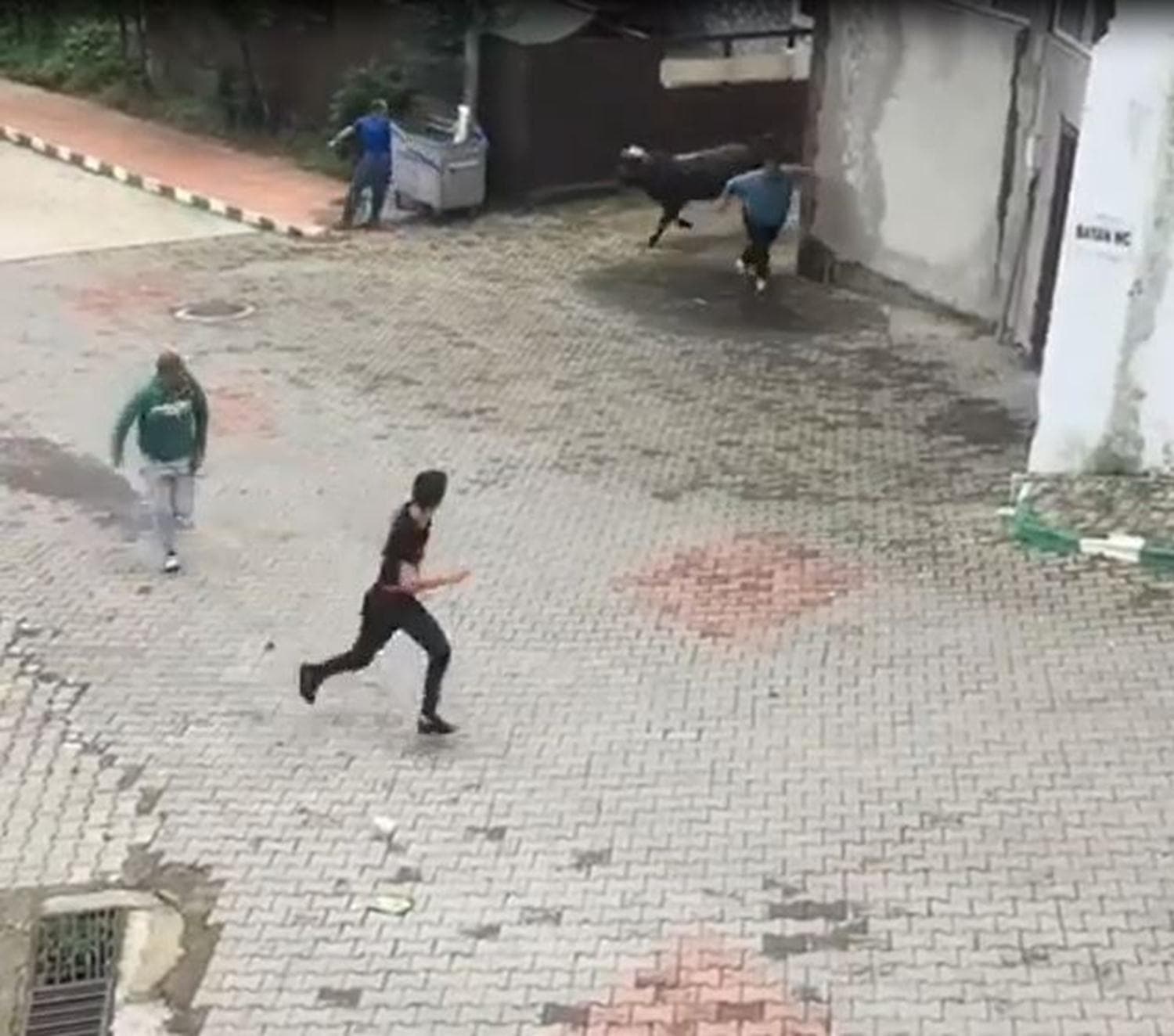 Sahibinin elinden ka�an �fkeli bo�a vatanda�lar� b�yle kovalad�