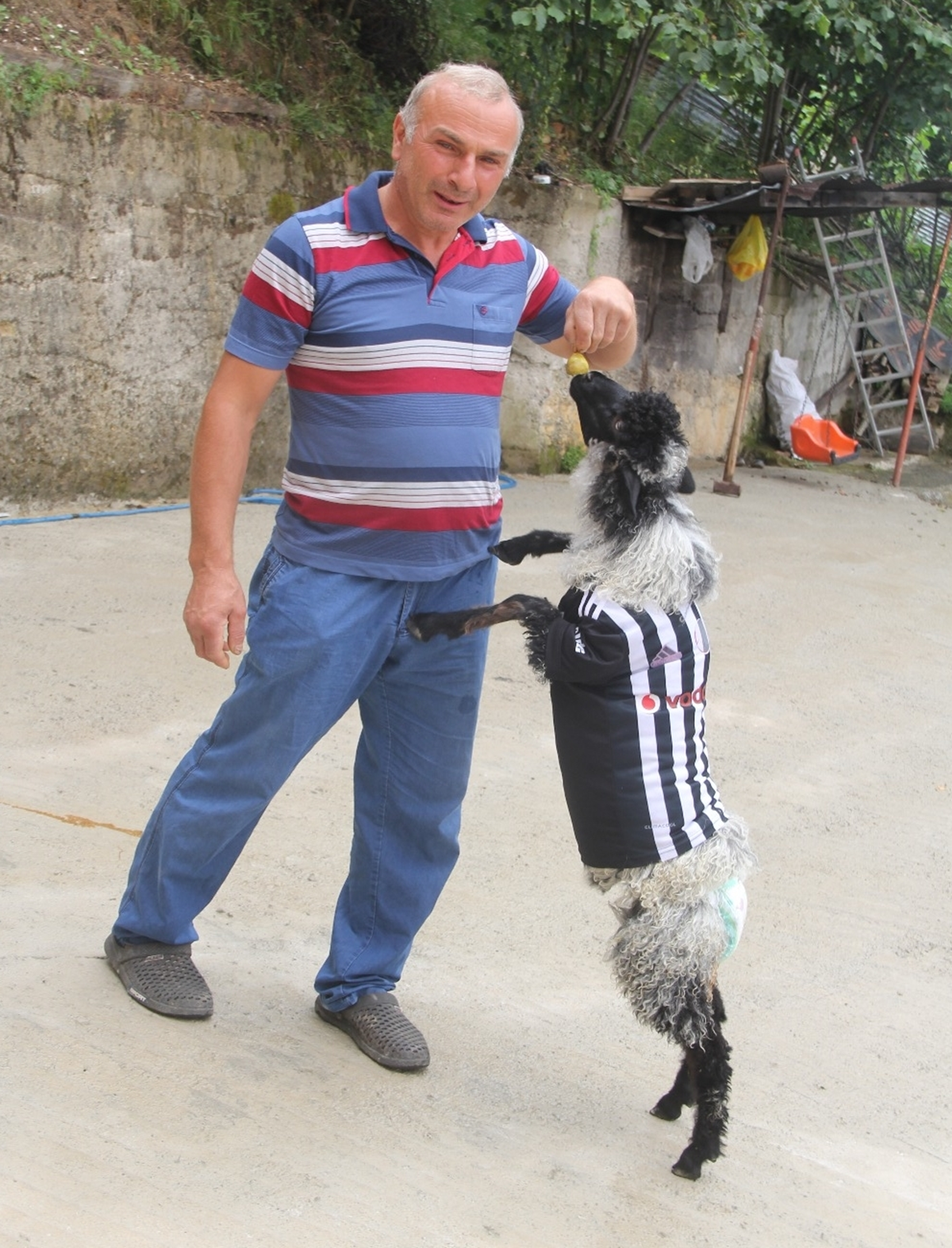 Annesinin reddetti�i 'Cimcime' evin maskotu oldu