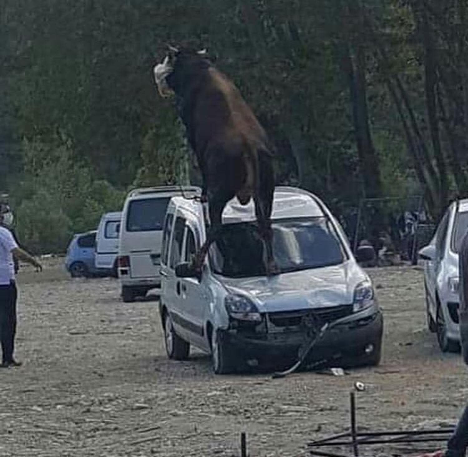 Sahibinin elinden ka�t�, park halindeki arac�n �st�ne ��kt�