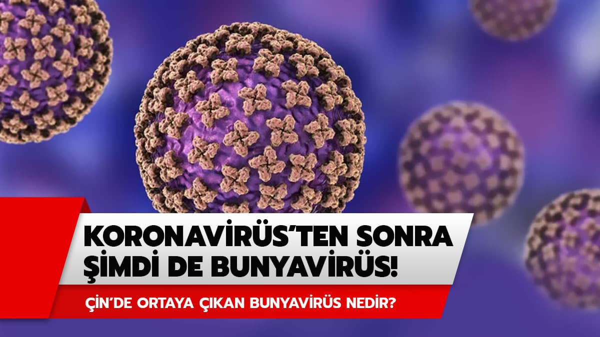 Koronavir�sten sonra �imdi de Bunyavir�s! �in'de g�r�len Bunyavir�s nedir?